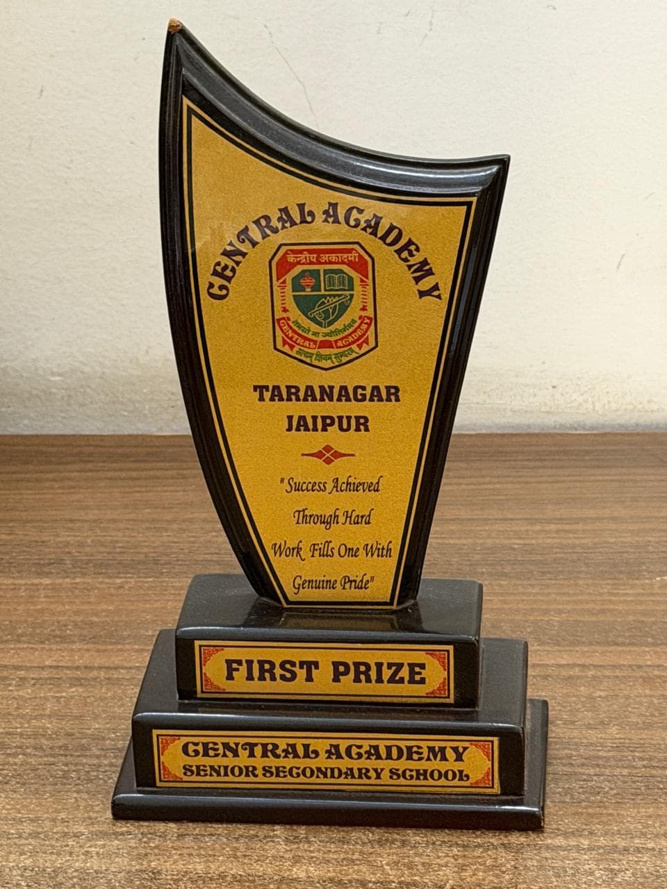 Central Academy, Jaipur — First Prize