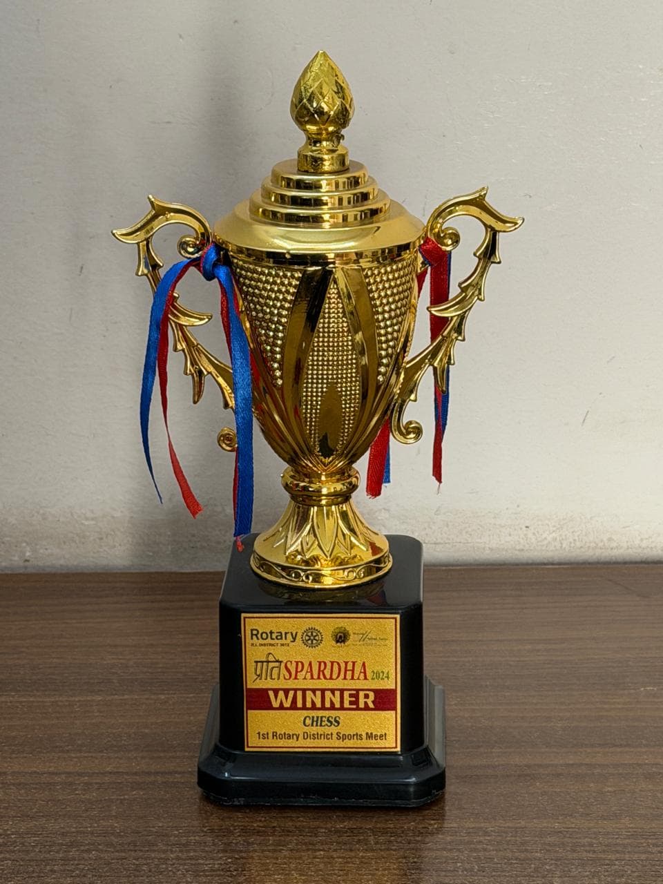 Rotary PratiSpardha District Sports Meet — Champion